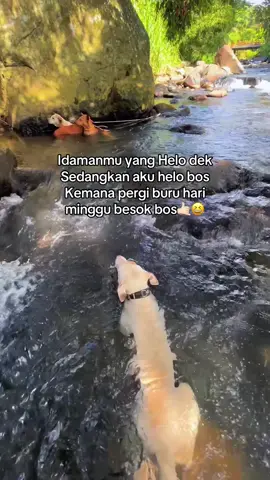 #bujangparenten #porbi_sumbar #fyp #porbi #lewatberanda 