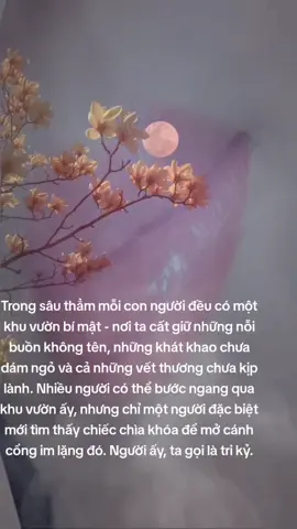 Trong sâu thẳm mỗi con người đều có một khu vườn bí mật - nơi ta cất giữ những nỗi buồn không tên, những khát khao chưa dám ngỏ và cả những vết thương chưa kịp lành. Nhiều người có thể bước ngang qua khu vườn ấy, nhưng chỉ một người đặc biệt mới tìm thấy chiếc chìa khóa để mở cánh cổng im lặng đó. Người ấy, ta gọi là tri kỷ.#yeuxa #xuhuongtinhyeu #sttbuontamtrang 