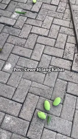 Jangan dicariin kalo ngilang,lagi ngerjain proyek besar🤣