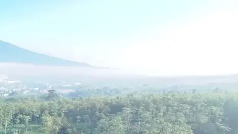 Kepala desa Purwasari Bapak Agus Setiagunawan S.E 👍🙏 Membuat Desa Purwasari menjadi Desa Inovasi 👍🌟  memang luar Biasa pa kades agus👍🌟 @Jabar Istimewa @sukabumi @kangdedimulyadiofficial @cicurug @Cicurug Peduli @BODOGOL FARM @MANG KIFLY @jawabarat.officialll  #purwasaribangkit #desapurwasari #kadesmuda #jabaristimewa #kangdedimulyadi 