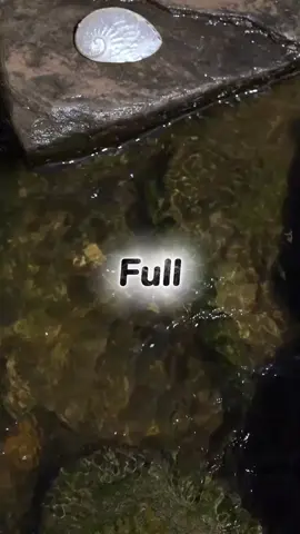 Phần97🌷Truyện audio_full Thiếu gia giả nghèo để cua gái #full #audio #xuhuong #xuhuongtiktok #kechuyen 