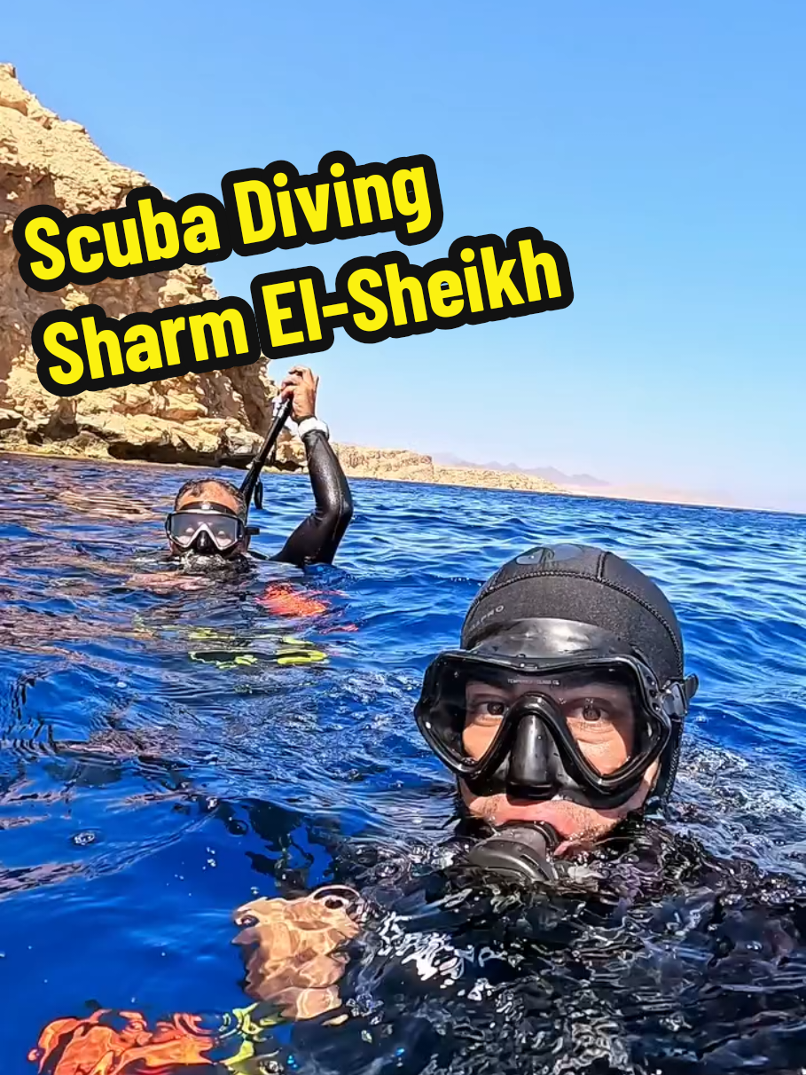 #sharm_el_sheikh 🏝🐫🌞❤ #red_sea 🌊🐬🐠🏝⛵ #egypt  🇪🇬 #kuwait  🇰🇼 #Ahmed_M_Abdo 😉👌