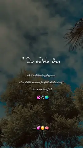 හීනෙකින්වත් නෑ 🙂💐✍🏻 #sanaquotes #foruyou #trnding #fypシ゚ #watsapp_status 