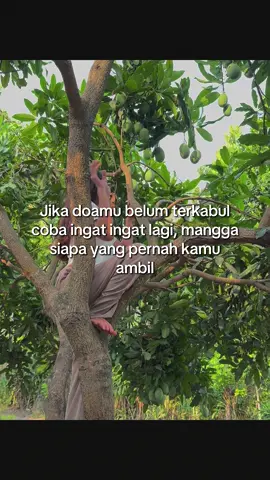 Hayo loh #promomakangajian #fyp #fypシ゚ #foryoupage #blitar24jam 