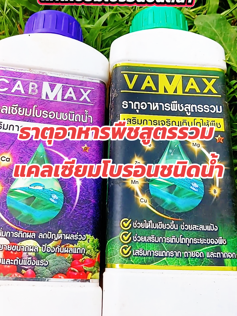 #ธาตุอาหารสุดรวม#แคลเซียมโบรอนทุเรียน #ปุ๋ยทางใบ #ปุ๋ยทุเรียน #เกษตรสาวภูธร 