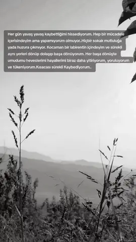 #Araf 