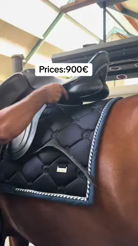 🐴⚡️I can honestly say I love @sellerie.d.ici.Custom-made for my horses with the finest Italian leather, with all the crystal-clear details designed by me. 🙏Thank you, team, for placing your orders. The prices are very affordable. I do great work for you! #dressagesaddle #equestrian #bruxelles🇧🇪 #france🇫🇷 