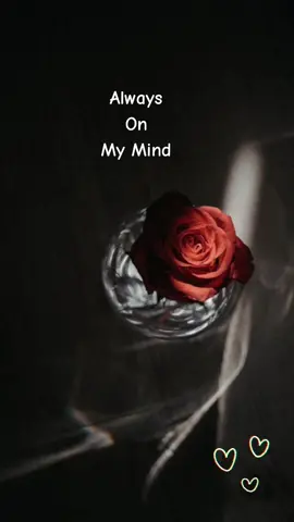 💯Always on my mind.💜 ✨️Forever and Always✨️ #alwaysandforever  #mylove #fyp  #fypシ゚  #foryoupage 