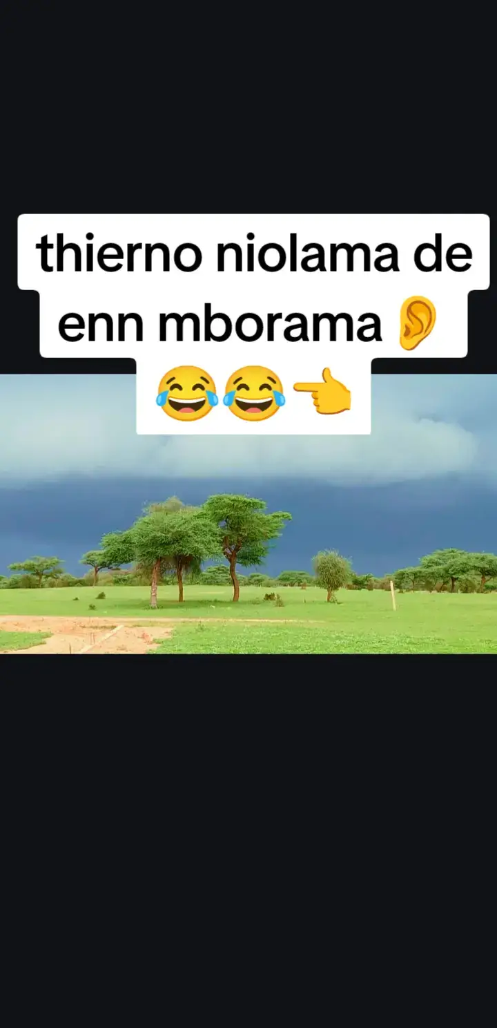 vraiment désolée 🤣🤣🤣