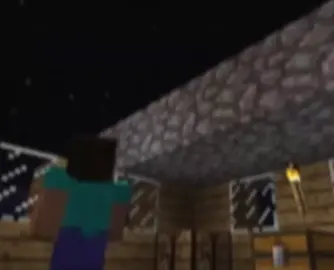 minecraft...2010