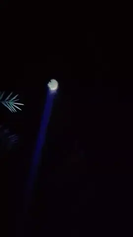 #🥰🥰🥰🥰🥰🥰🥰🥰🥰🥰☠️☠️💀☠️💀💀☠️ #🥰🥰🥰🥰🥰🥰🥰🥰🥰🥰☠️☠️💀☠️💀💀☠️ 