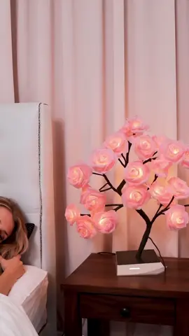 #tiktokshop 