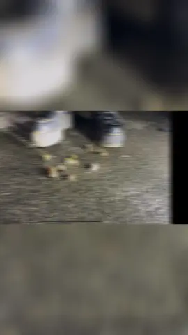 #crush #asmr #snails #boots #drmartens 