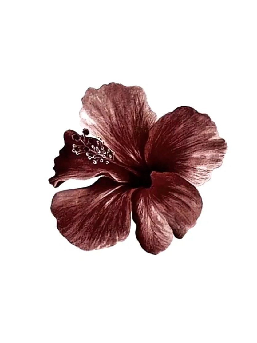 Gabriela | katseye  ‌ #فوریو #fyp #edit #lyric #song 