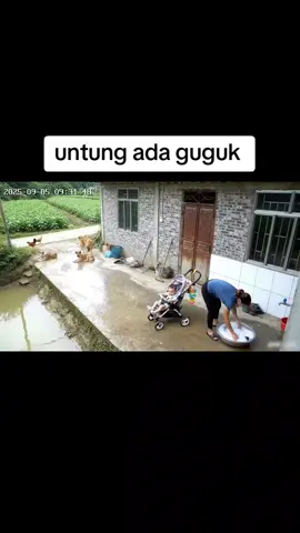 untung ada guguk 