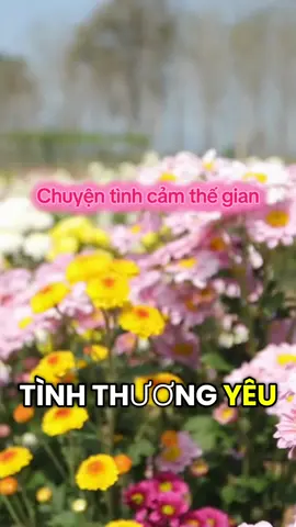 #phatphapnhiemmau #meditationinvietnam #thaythichchanquang 