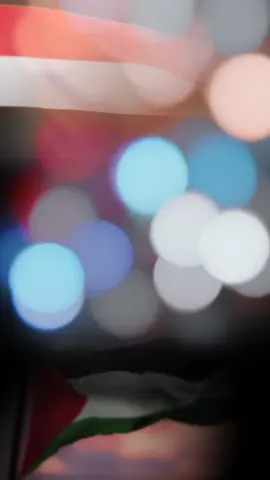 غزه مثل العالم أو العالم مثل غزه  اللهم انصر اخواننا في فلسطين  #CapCut #مشهير_تيك_توك_مشاهير_انستقرام  #الشعب_الصيني_ماله_حل😂😂 