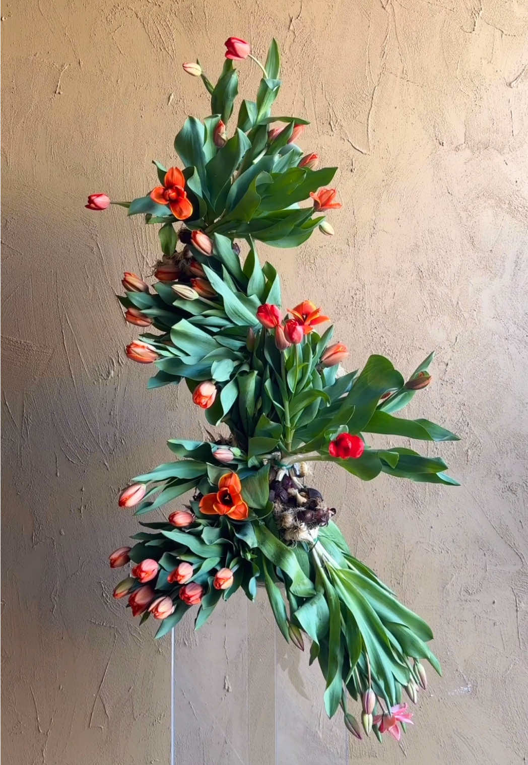 Your Boyfriend should buy you this, But he doesnt..🙄🌸