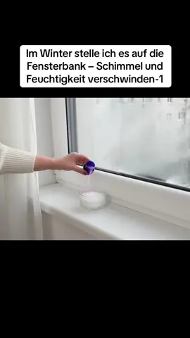 Im Winter stelle ich es auf die Fensterbank – Schimmel und Feuchtigkeit verschwinden-1 #winter 
