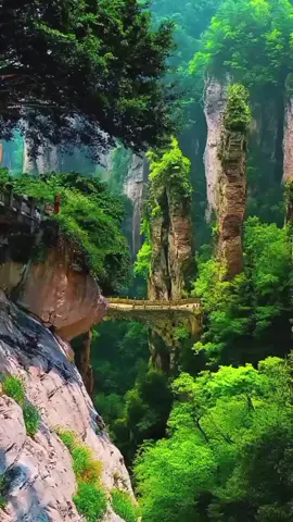 #القران_الكريم_راحه_نفسية  #creatorsearchinsights  #الشيخ عفيف محمد تاج  #الشيخ عفيف محمد تاج  #الشيخ عفيف محمد تاج 