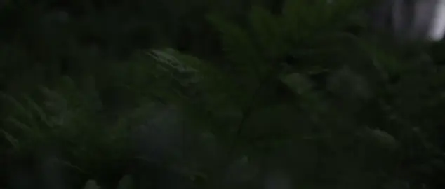 #علي_جابر #الجمعه #قران #quran 