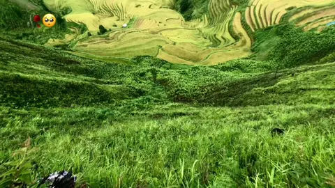 #🥺💔🥀 #xuhuon 