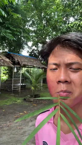 uda kayak preman kann🤣