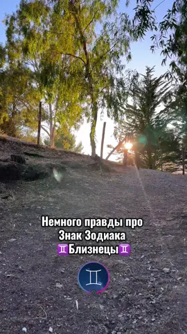 #близнецы #отражение #обратнаясторона #исчезнуть #почему 