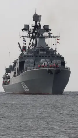 Large anti-submarine ship Vice-Admiral Kulakov Serves in the Northern Fleet of the Russian Navy. The ship's armament includes eight vertical launch tubes for the Kinzhal air defense missile system, a Pantsir-S1 missile system, and AK-100 and AK-630 artillery systems. Russian Navy.