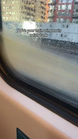 See it, say it, sort it. #trains #uk #grim #southwesttrains #weird 