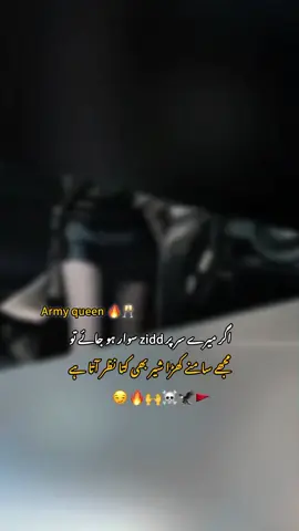 #meowarmy #fyppppppppppppppppppppppp #foryoupage #viralvideo #trending @TiktokPakistanOfficial 
