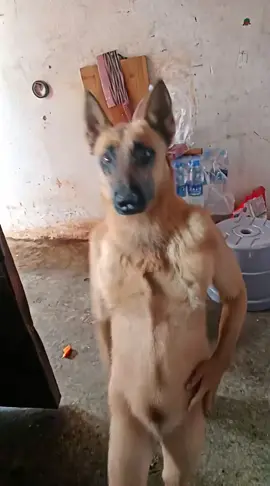 Ảo thật đấy 😂😂😂#xuhuong 