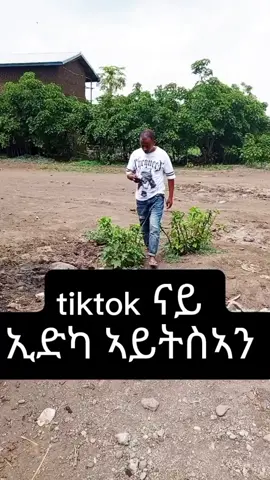 #habeshatiktok #tigraytiktok🇻🇳🇻🇳tigraytiktok #eritreantiktok🇪🇷🇪🇷habesha #ethiopian_tik_tok🇪🇹🇪🇹🇪🇹🇪🇹 