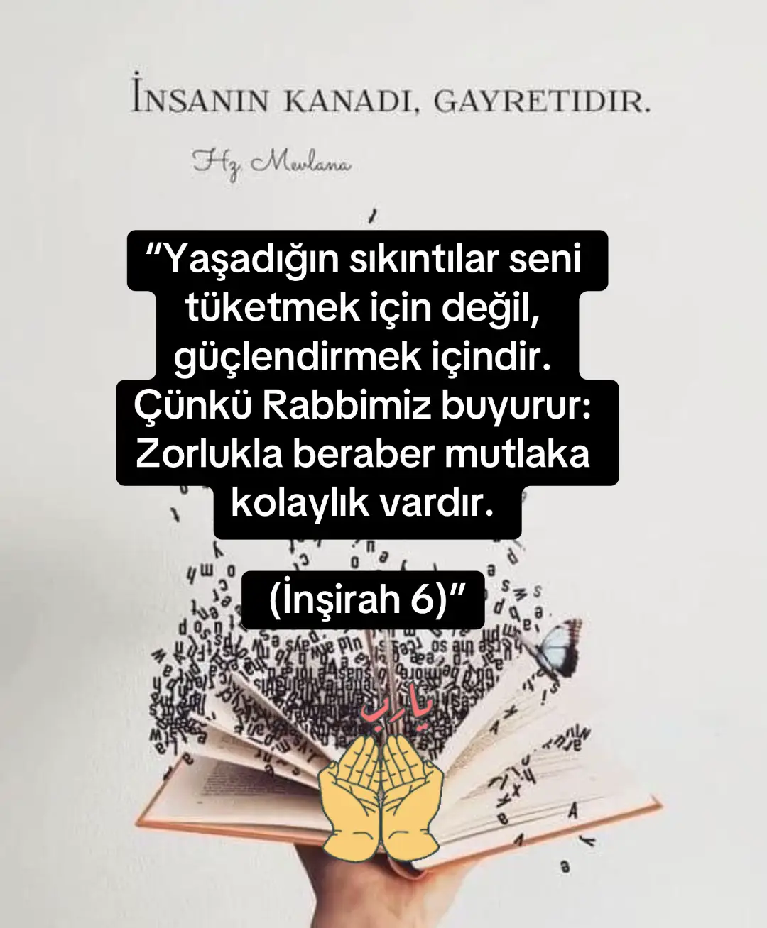 # Allah # islam # dua # 🤲 # 🌹🕊️