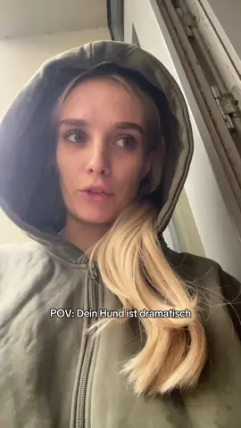 Wie kann man so eine Diva sein #hund 