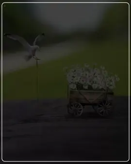 #creatorseachinsights #arewatiktok #hausa #viralvideos #arewa__tiktok #yaudagobe #rayuwa #aduniya #aicartoon #aicartoon #3danimation #creatorseachinsights #lilinbaba #openvarsechallange #malawu #matankannywood #kano #fyp #viral #tweesgeefamily #arewatiktokers #lyricsvideo #foryourepage #fouryou #trendingsong #matankannywood #kano #fyp #viral #tweesgeefamily #arewatiktokers #lyricsvideo #foryourepage #fouryou #trendingsong #auta_mg_boy #hausa #arewa #arewatiktok #tsantiherochallenge #hausamusic #tetema #tetemachallenge #rayvanny #tanzaniatiktok #tanzania🇹🇿 #naijatiktok #hausatiktok #comedia #lyricsvideo #lyricshausa #mujemaha #hausafilm #hausasong #hausalyrics #hausatiktoker #templatecapcut #tiktokviral #trendingsong #fyp #viral #matankannywood #kano #kalamanhikima#auta_mg_boy #hausa #arewa #arewatiktok #tsantiherochallenge #hausamusic 