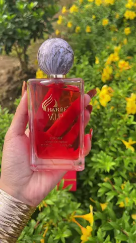 Ẻm đẹp ẻm sang gì đâu luôn thơm dai 8/12 tiếng luôn nè