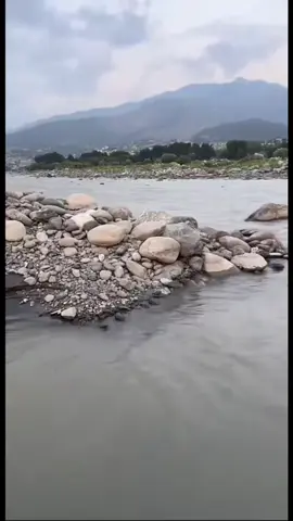 🥲🥲@لائبہ 