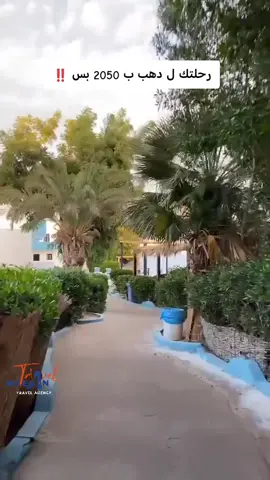 رحلات وفنادق دهب للتواصل  01102540888 #نيلان_للسياحة 💙✈️ #امبراطورية_المبسوطين 🧡 🐧 #رحلات #فنادق #مصيف 