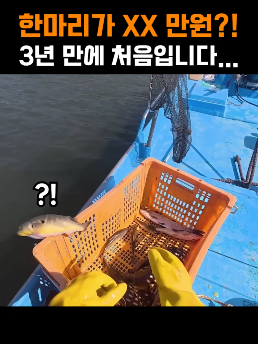 이 비싼걸 놓쳤어요..ㅜㅜ #임진강 #황복 #통발 #방생 