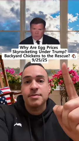 Why Are Egg Prices Skyrocketing Under Trump? Backyard Chickens to the Rescue? 🐔 #fyp #nfl #economy #Trump #inflation       