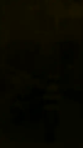 🖤🐝!#creatorsearchinsights #hondahornet250 #viralvideo #highcapacitysrilanka🇱🇰 #fyp @