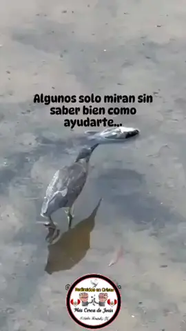 amén  #Redimidos #@Pistas Karaoke @Entretenimiento y Humor 