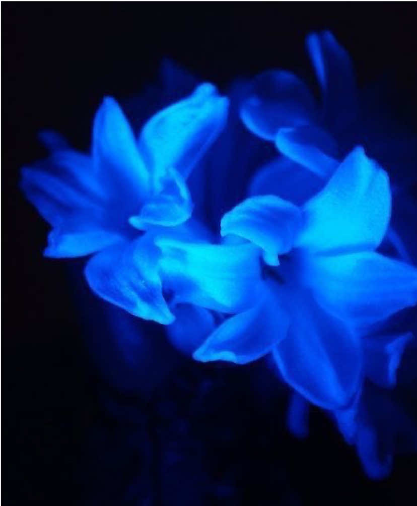 ˃ 𖥦 ˂ #fyp #relatable #calm #deep #vibes 