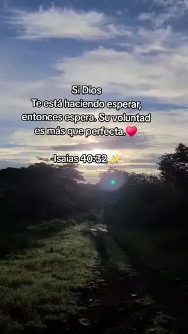 #Si Dios Te está haciendo esperar, entonces espera. Su voluntad es más que perfecta. -Isaias 40:32. #parati #viraltiktok #palabradedios 
