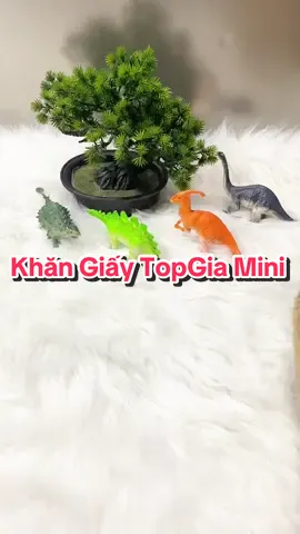 Khăn Giấy TopGia Mini Bỏ Túi Từng Gói Nhỏ Tiện Lợi Mang Đi Gọn Gàng #giadunghonganh #khangiay #khangiaytopgia #khangiaydanang #khangiaycaocap 