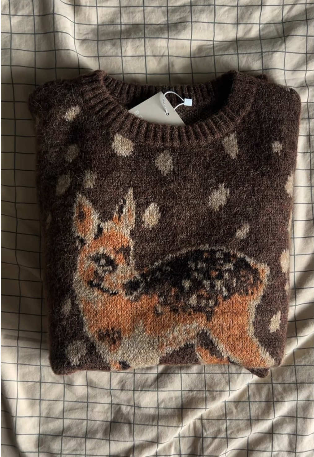 тгк в саду мотылька ✨ #autumn #gilmoregirls #fyp 