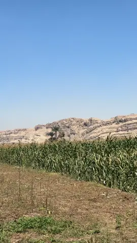 قران كريم 💕💕💕 #قران_كريم 