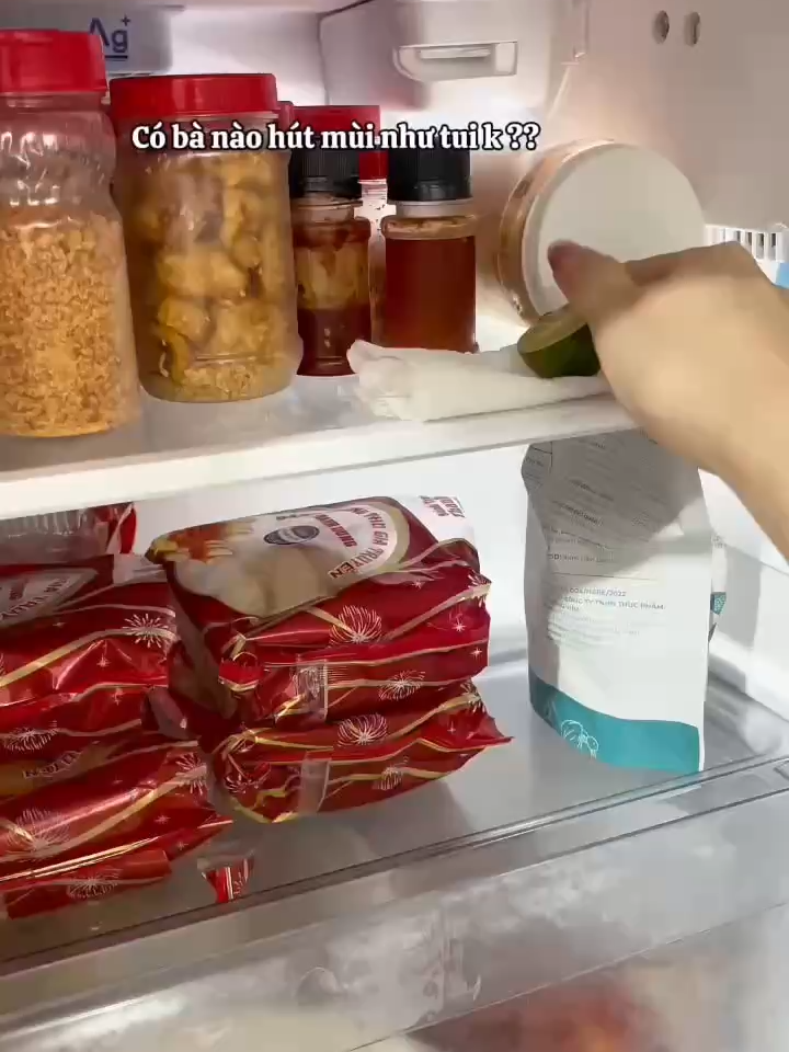 Tủ lạnh nhiều mùi không biết xử lí thì xem ngay #beecok #ngoclinh