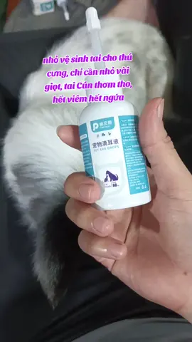 #xuhuong #reviewchanthat #nuocnhotaichomeo #chamsocthucung #petcare @thu thắm 95@@@ @thu thắm 95@@@ 
